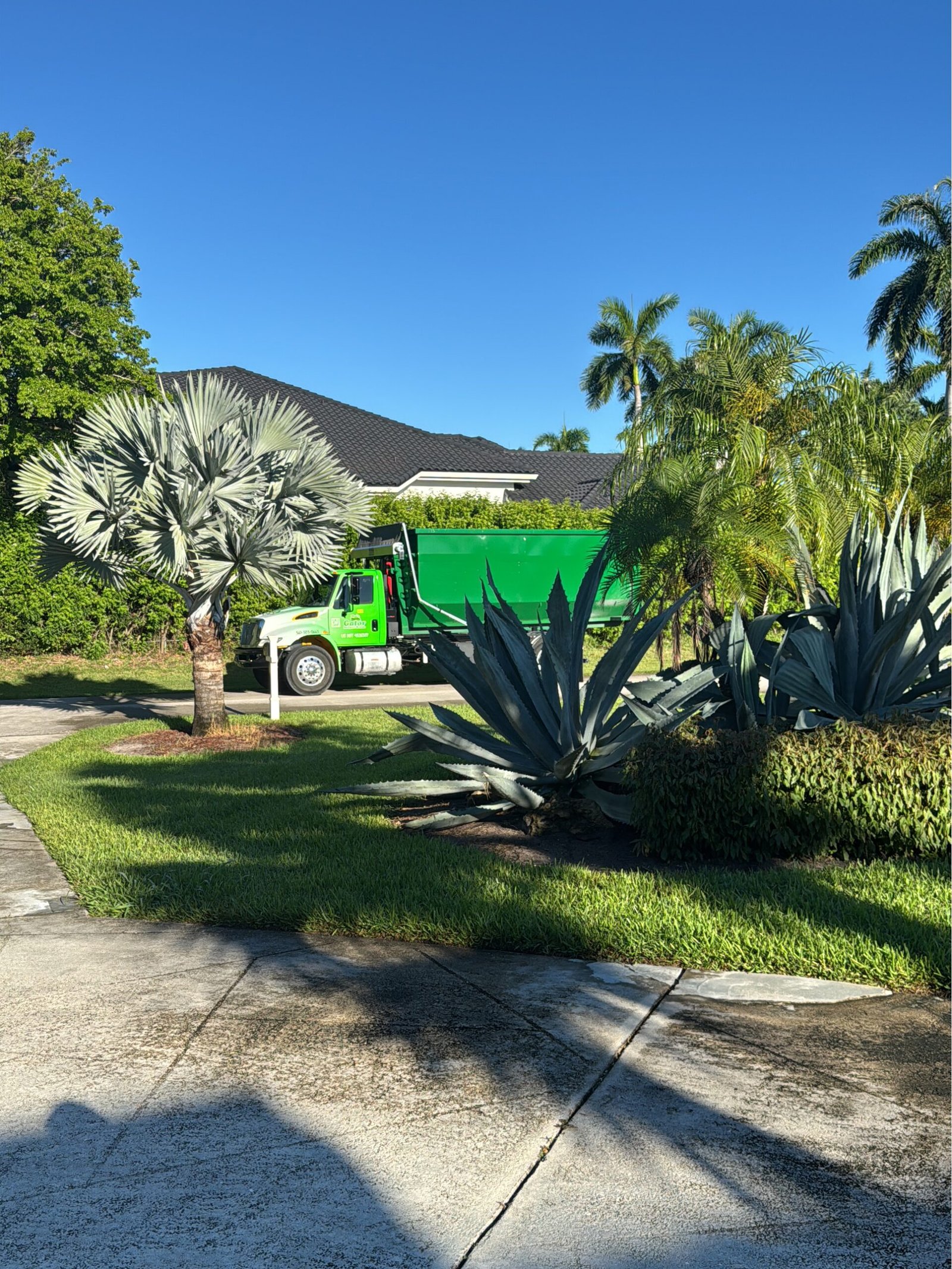 Dumpster Rentals Boca Raton Guide to Costs & Rules